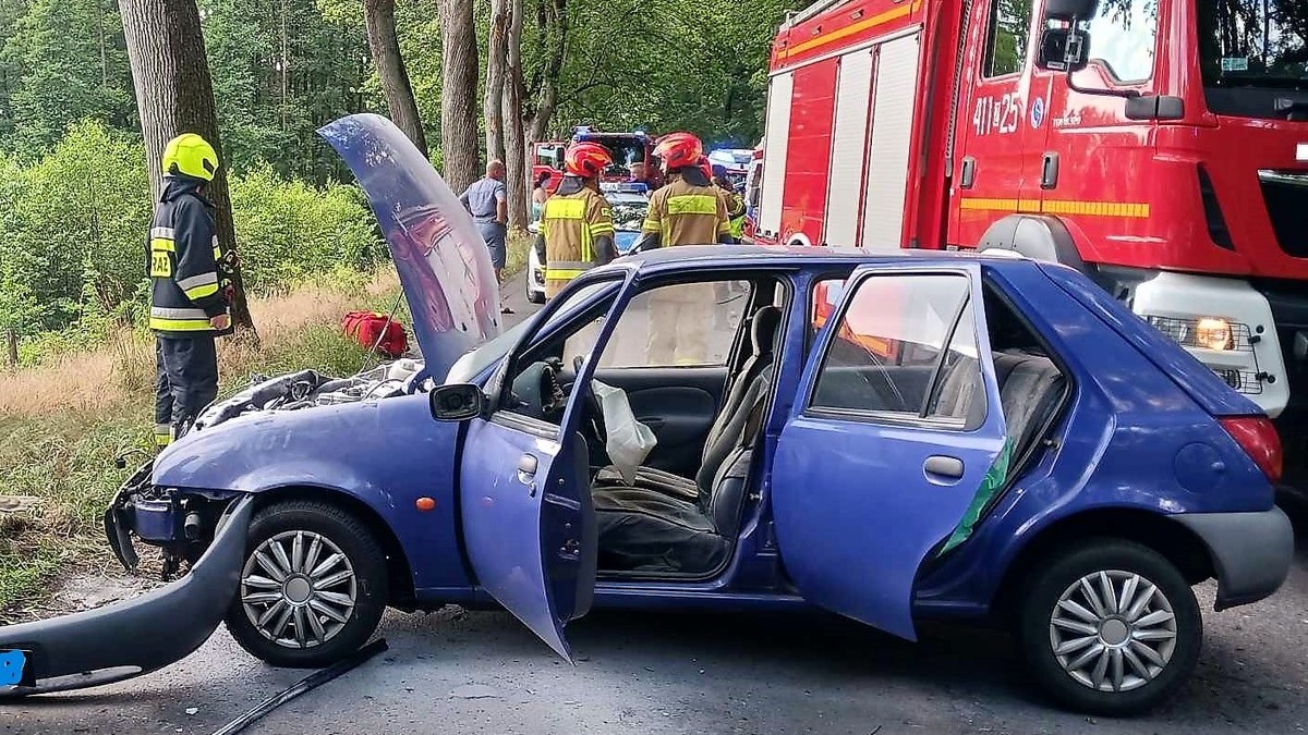 Choszczno: Kot nagle wskoczył na kierowcę. Samochód wjechał w drzewo