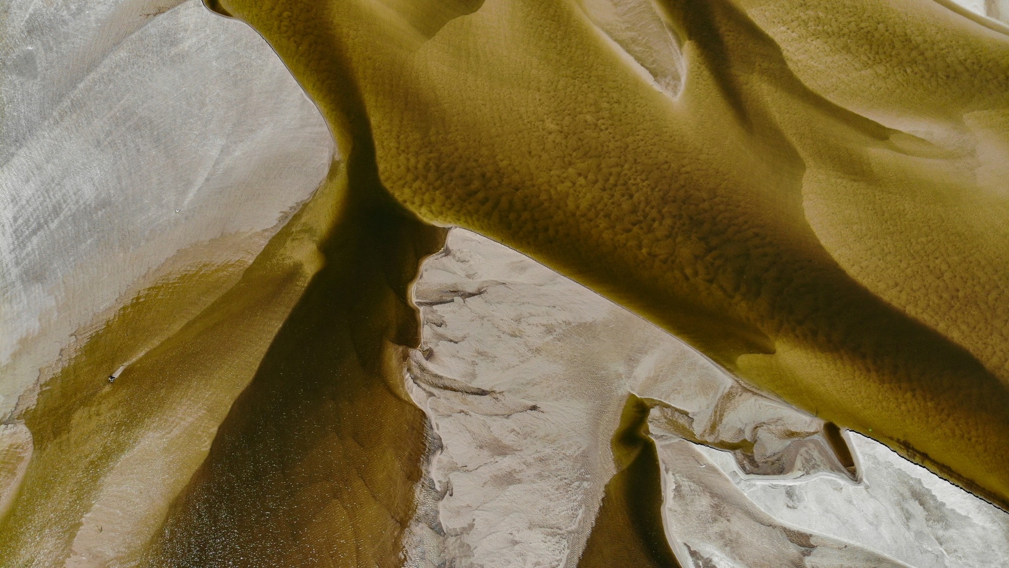 Susza na Wiśle - zdjęcie 11