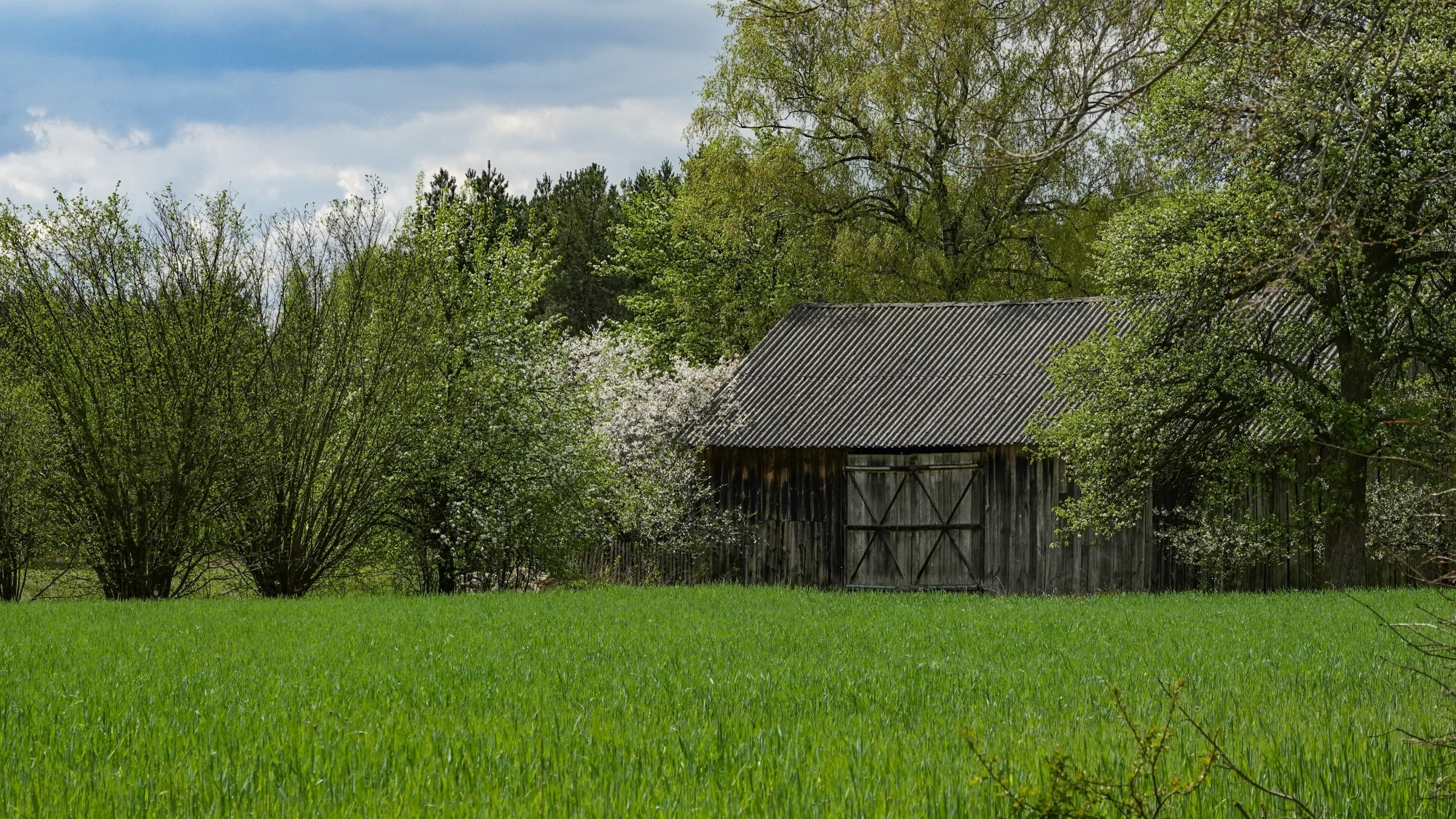 Kwiecień w obiektywie - zdjęcie 41
