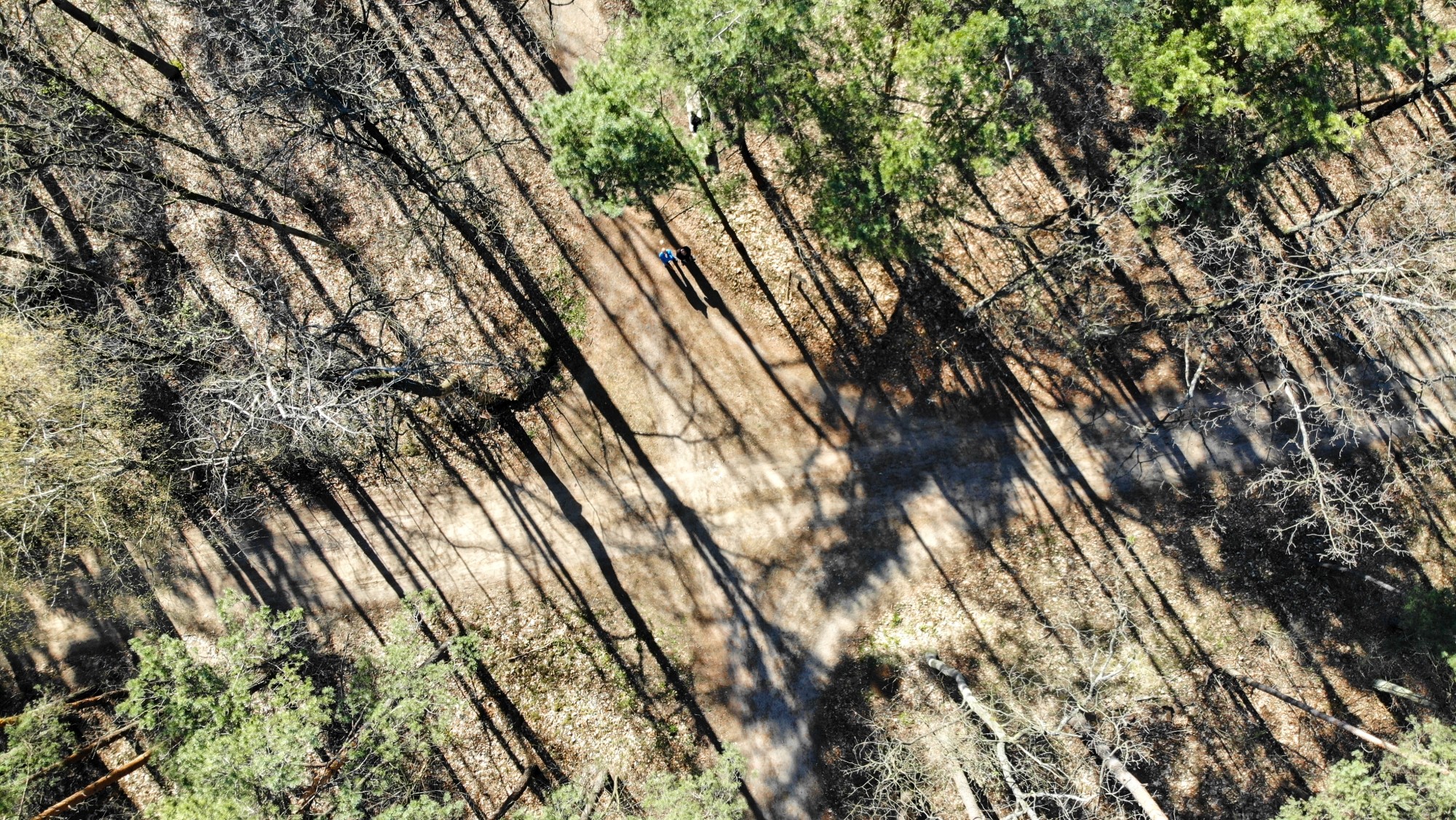 Wiosna w Polsce okiem drona - zdjęcie 10