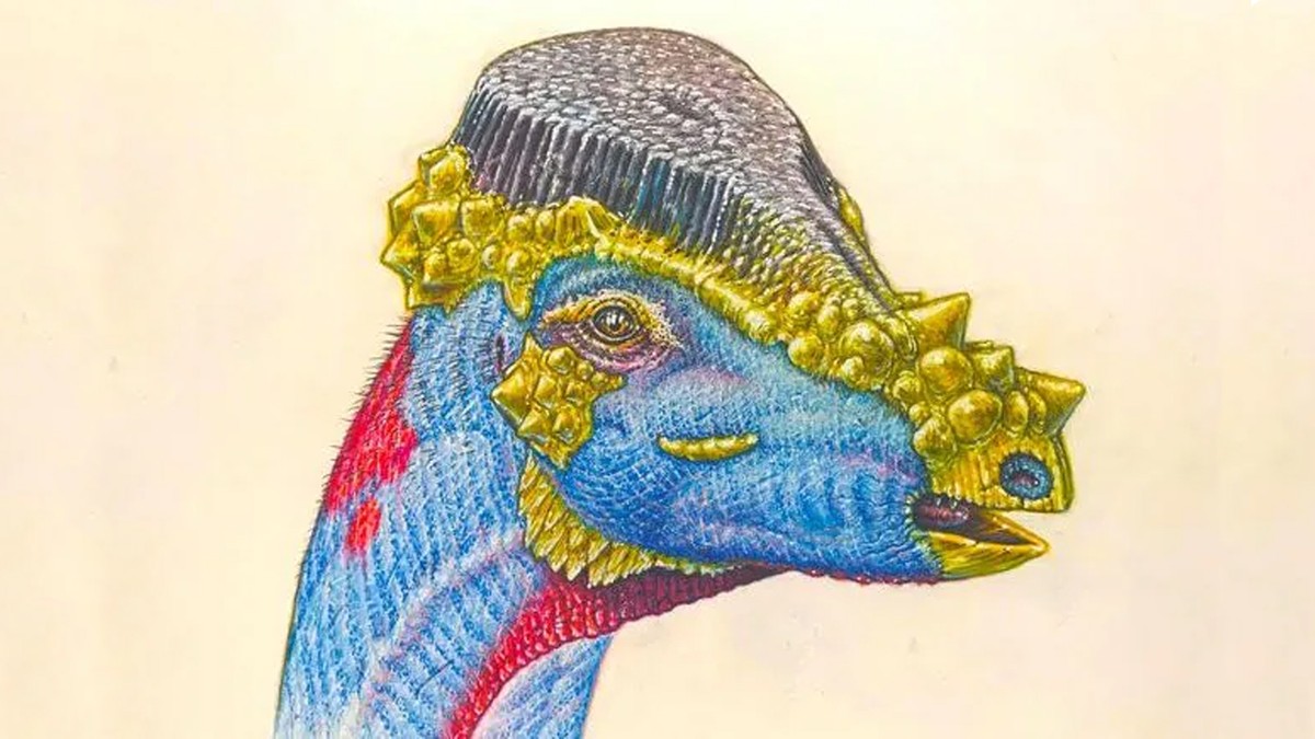 USA: Paleontolodzy odkryli gatunek dinozaura ze "szczotką" na głowie