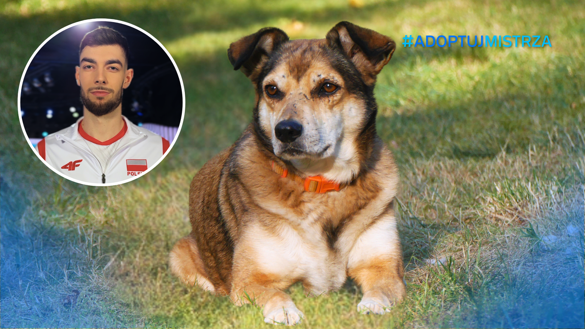Zdjęcie przedstawia siatkarza Kewina Sasaka w okrągłym kadrze oraz psa leżącego na trawie. Na tle widoczny jest napis #ADOPTUJMISTRZA.