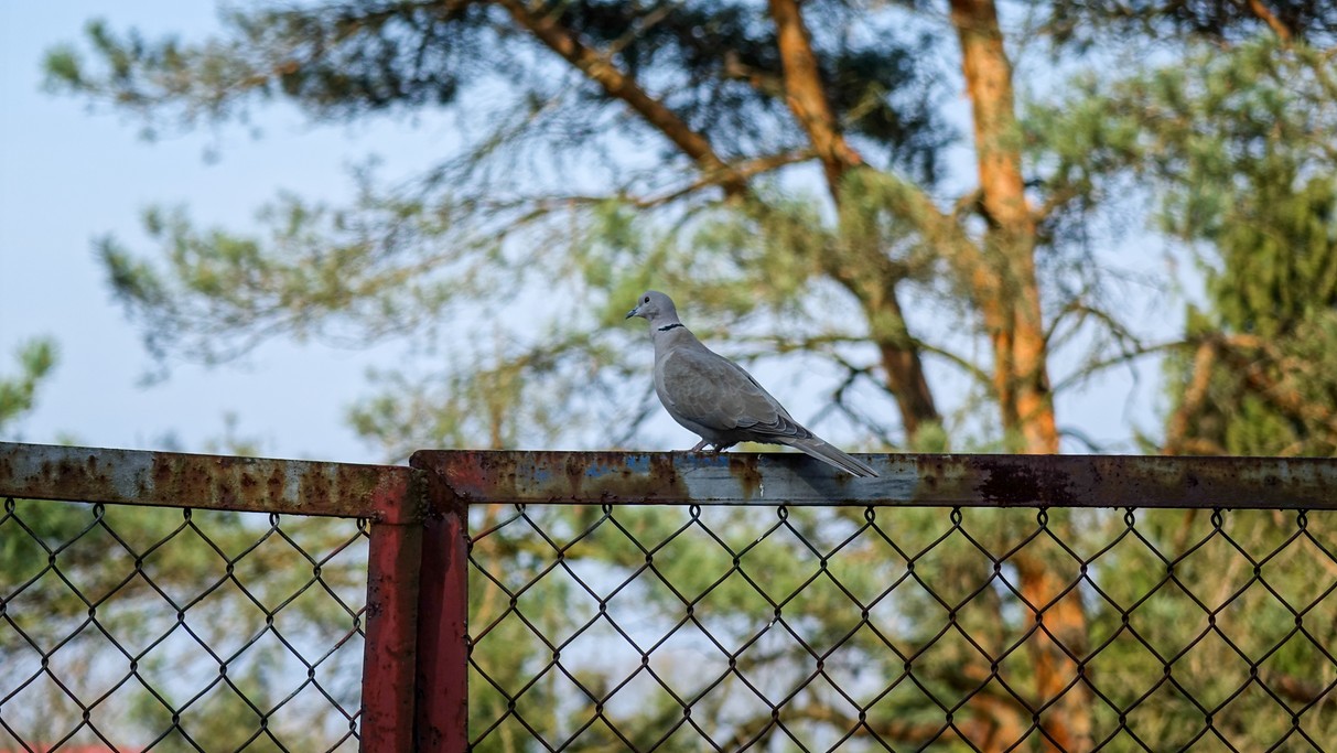 Marzec w obiektywie - zdjęcie 45