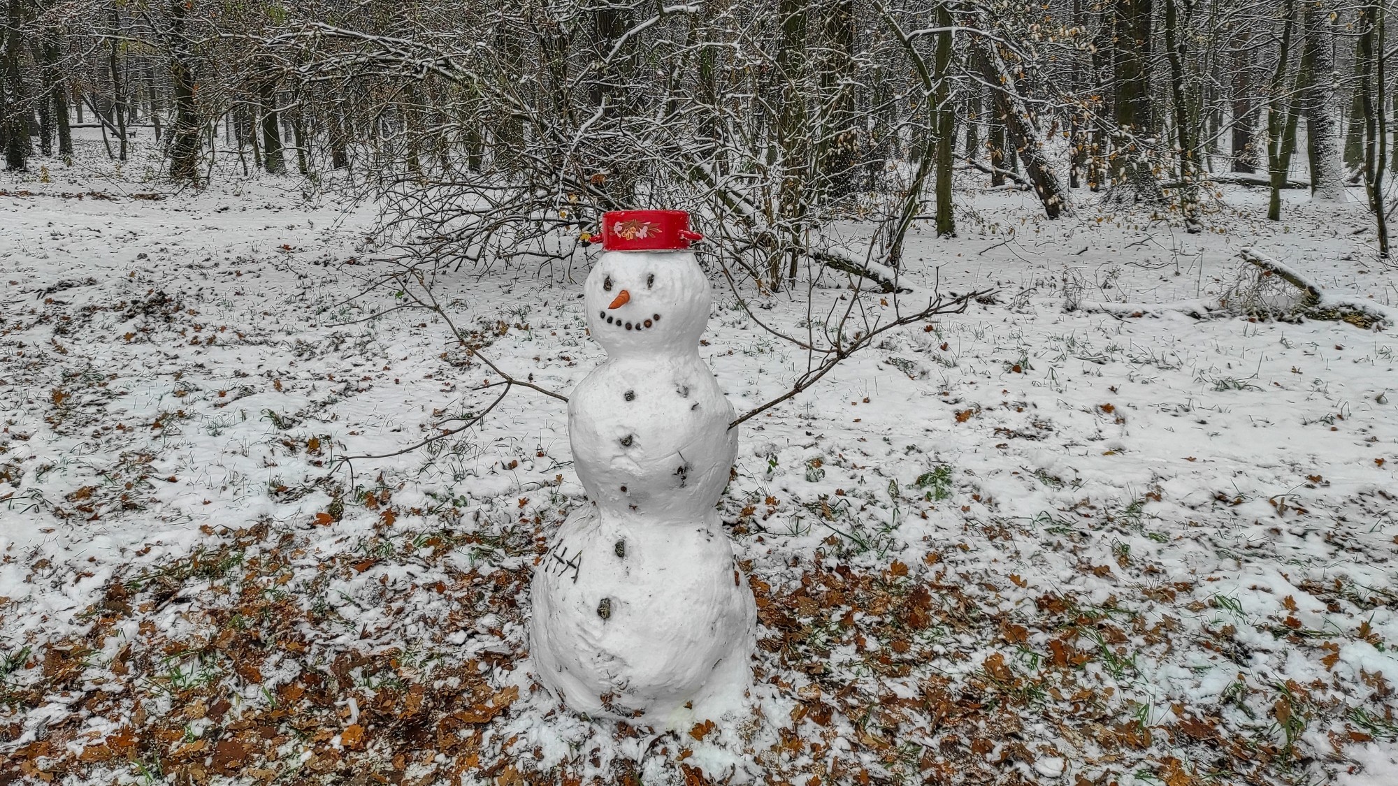 Pierwszy śnieg - zdjęcie 8