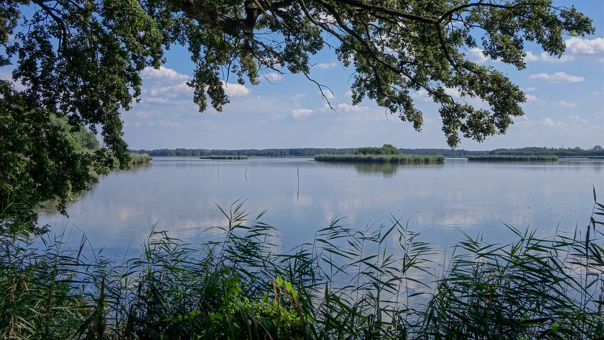 Wrzesień w obiektywie - zdjęcie 44