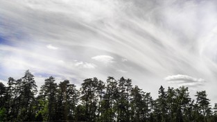 13.09.2020 11:00 Dlaczego niebo nad Polską nie jest błękitne tylko mętne? Przyczyna jest tysiące kilometrów od nas [ZDJĘCIA]