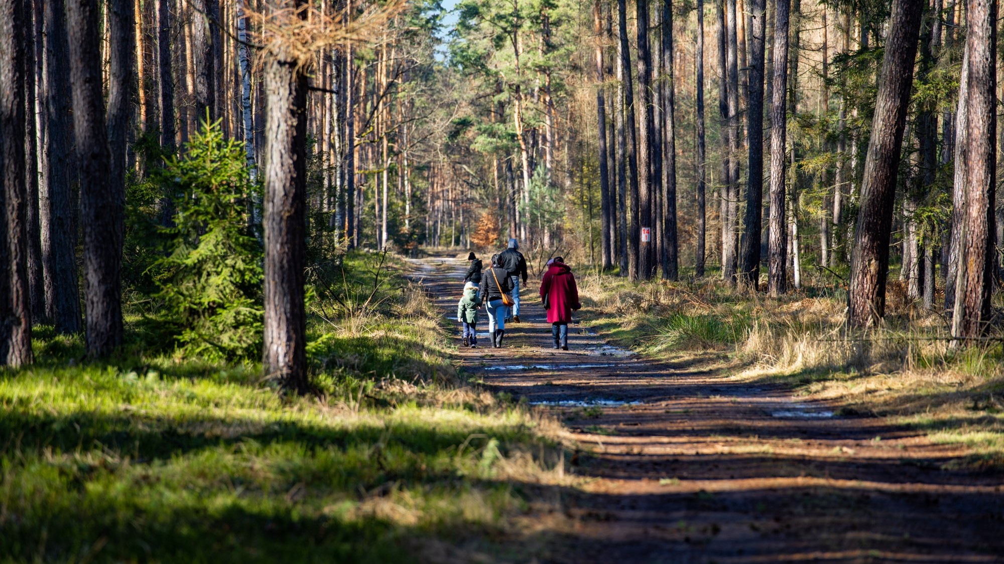 Wiosna coraz bliżej - zdjęcie 5