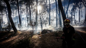 Pożary w Czarnogórze. Ewakuowano turystów