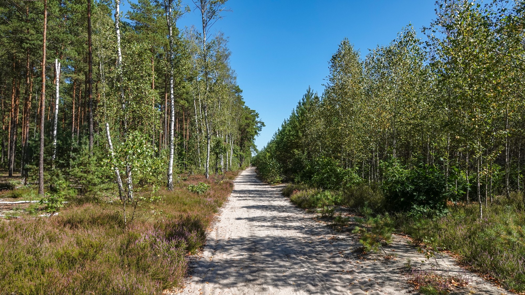 Na pożegnanie lata - zdjęcie 21