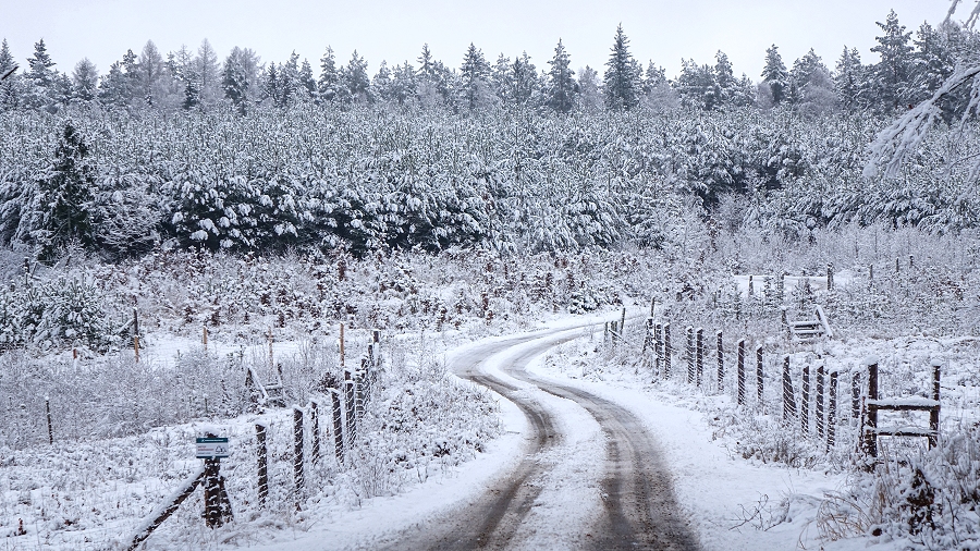 01.01.2019 10:00 W środę chwyci mróz, zacznie sypać śnieg, a krajobrazy będą się zabielać. Na jak długo wraca zima?