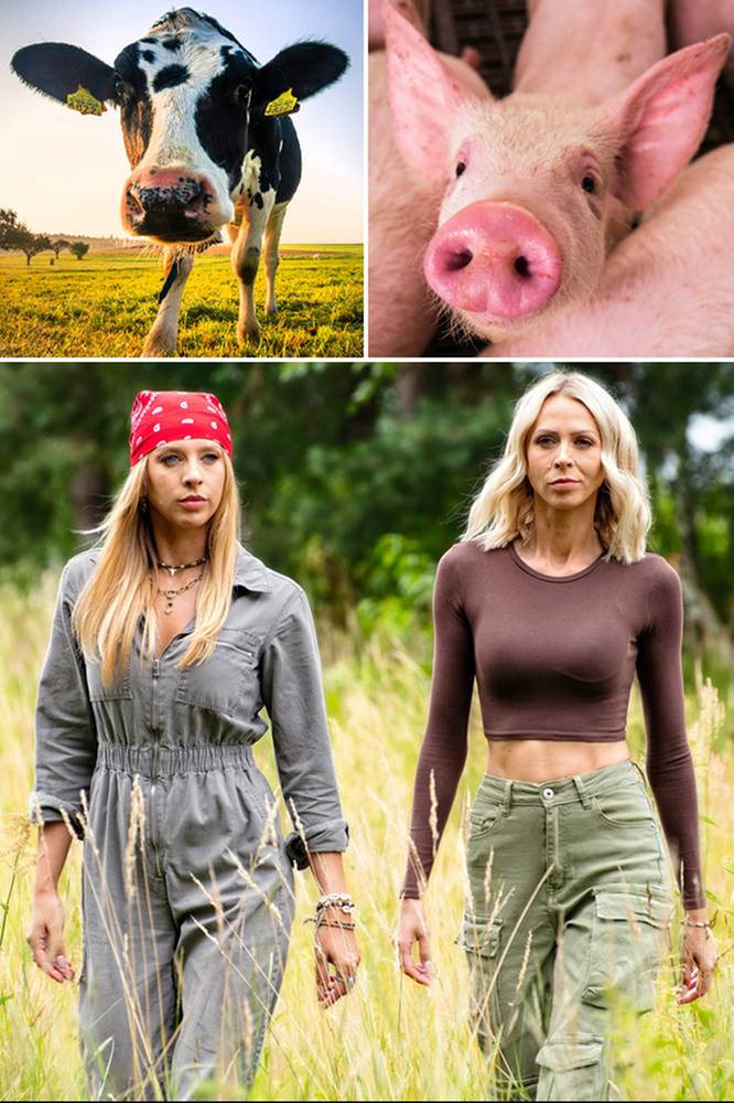 2025-12-17 Farma: Mocne słowa na temat 5. sezonu. Prawdziwa orka - Polsat.pl