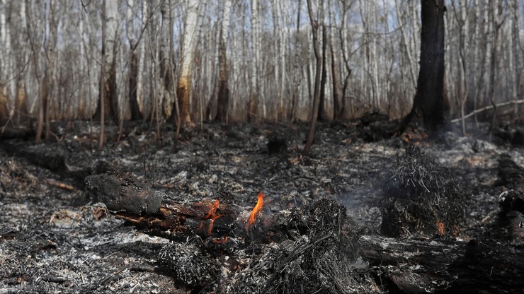 Ponad 125 tys. zł za wskazanie sprawcy pożaru Biebrzańskiego Parku Narodowego