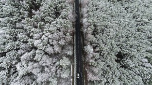 01.12.2020 10:00 Zobacz na zdjęciach pierwszy śnieg w tym sezonie, który otulił Polskę