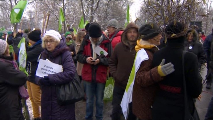 W Warszawie "marsz entów" w obronie Puszczy Białowieskiej. "Nie róbcie z puszczy lasu gospodarczego"