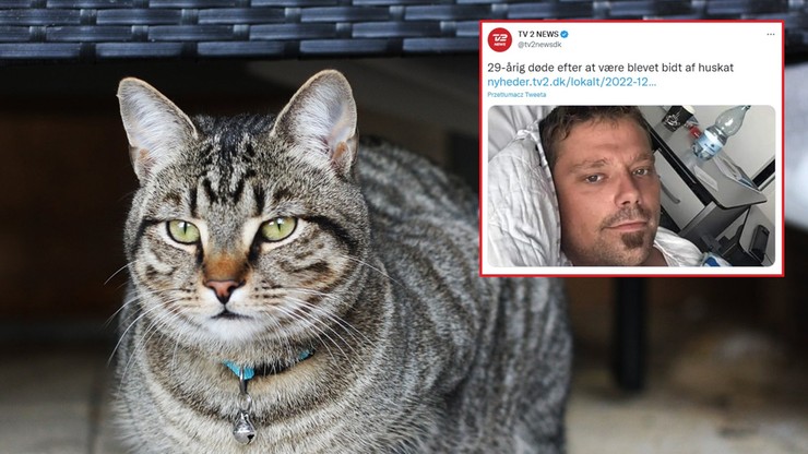Dania: Zmarł po ugryzieniu przez kota. Wcześniej przeszedł 15 operacji
