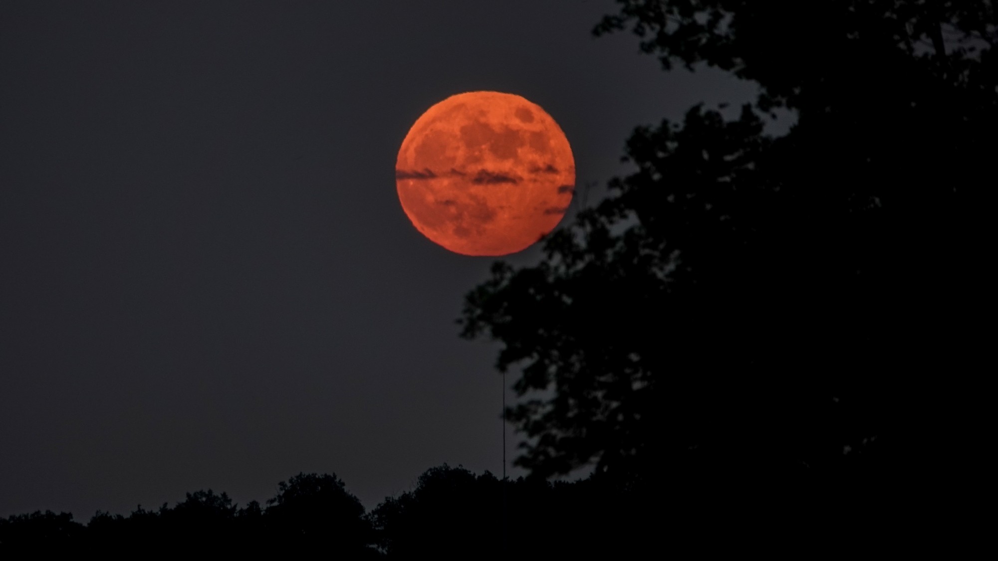 Pełnia Truskawkowego Księżyca - zdjęcie 1