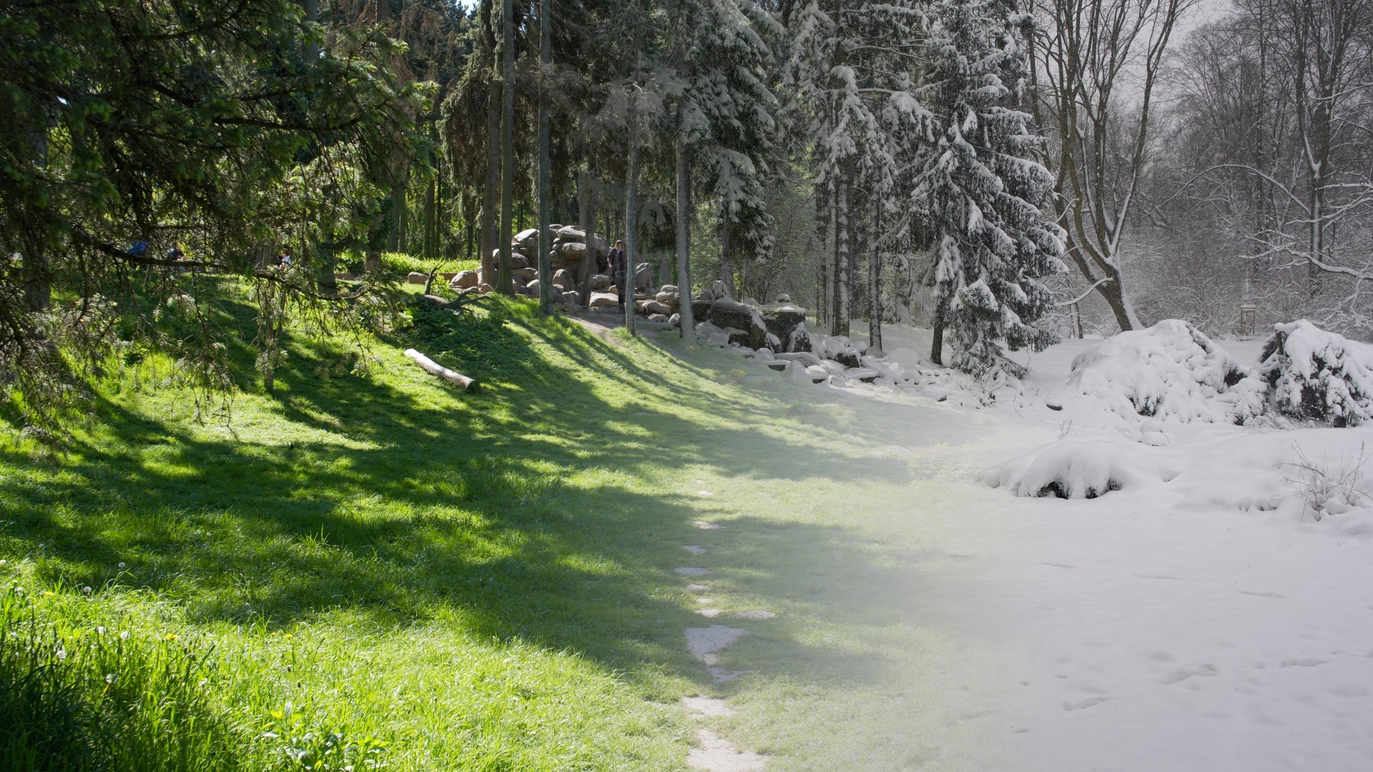 Porównanie wiosny i zimy - zdjęcie 7