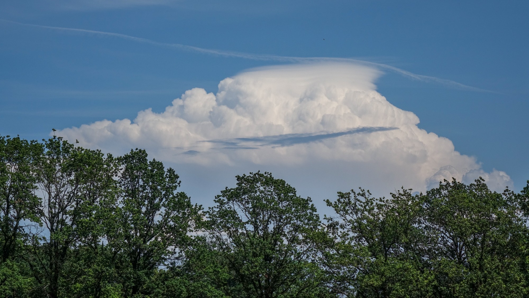 Czerwiec w obiektywie - zdjęcie 6