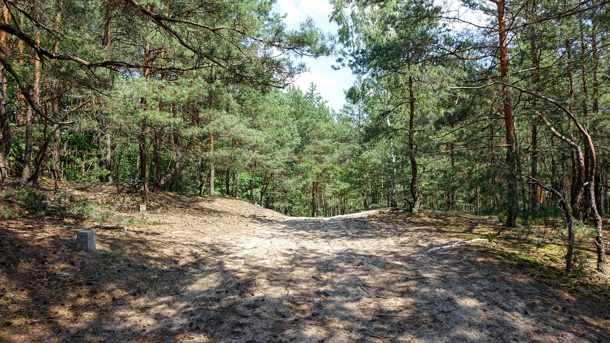 Lipiec w obiektywie - zdjęcie 35