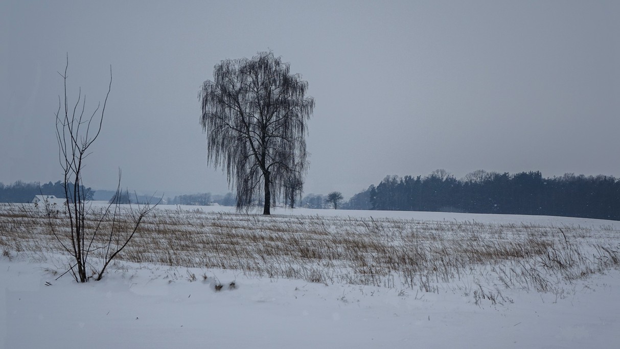 Styczeń w obiektywie - zdjęcie 29