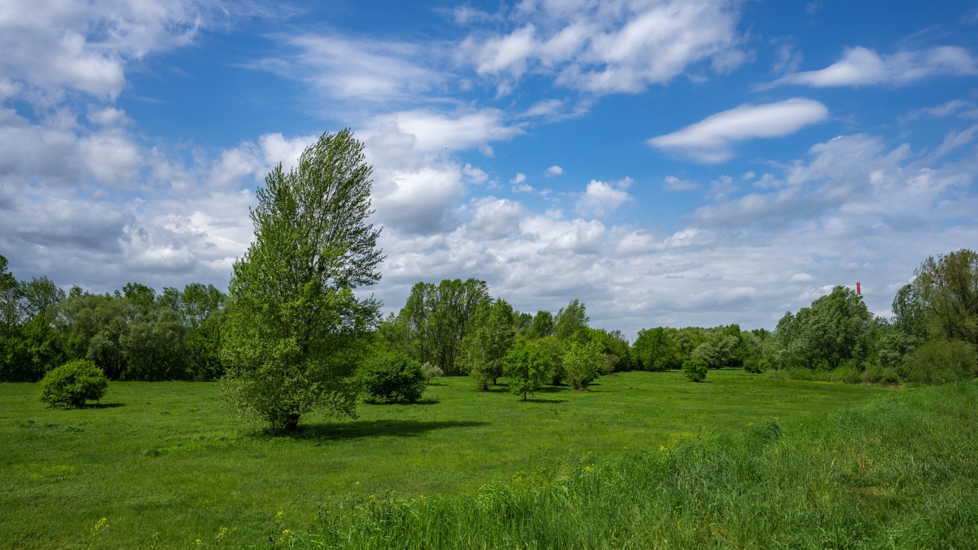 Wiosenna opowieść - zdjęcie 6