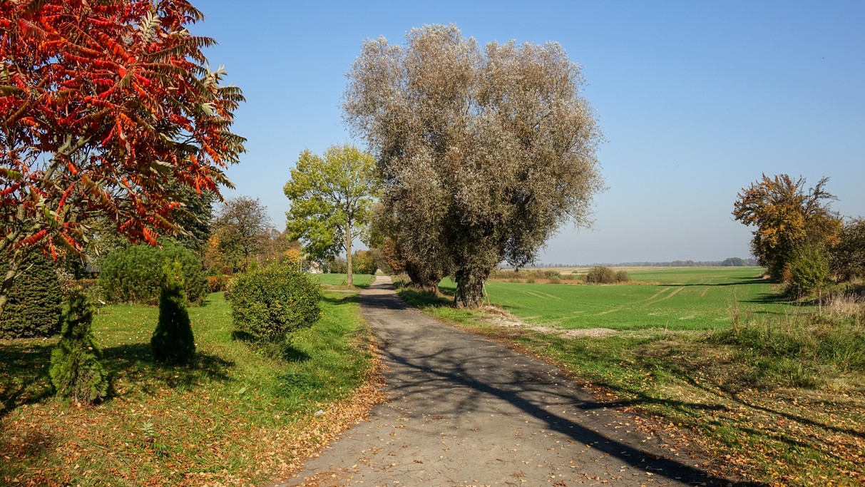 Barwy jesieni - zdjęcie 8