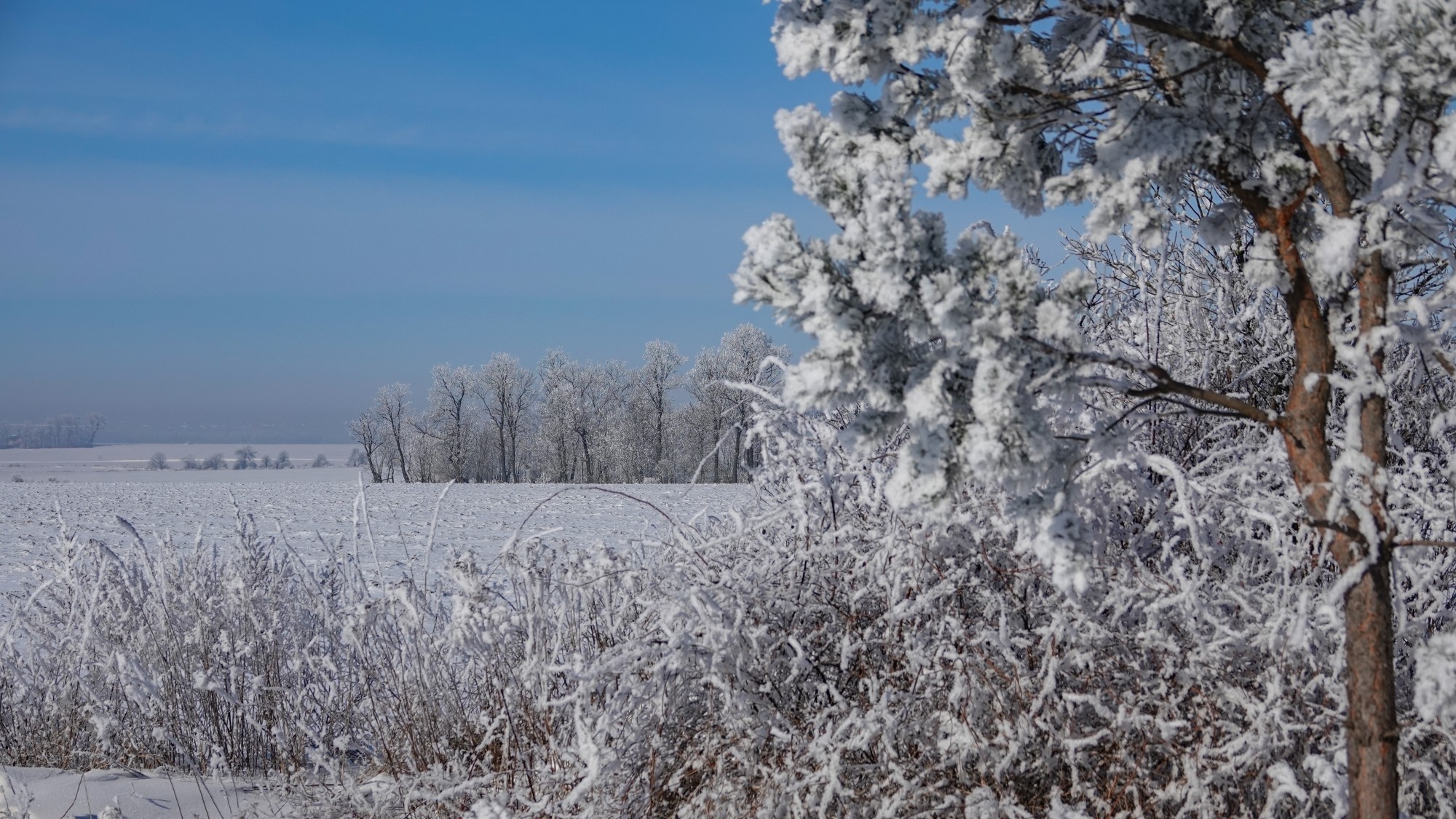 Kraina Narnii - zdjęcie 4