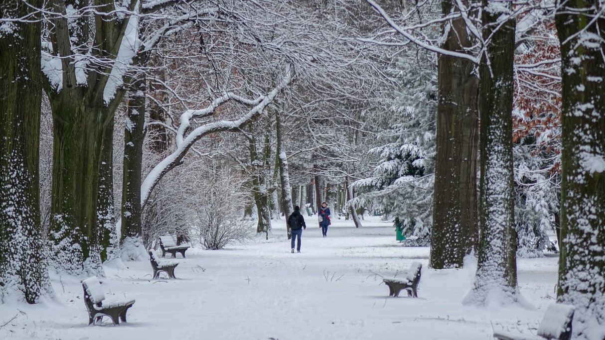 Styczeń w obiektywie - zdjęcie 55
