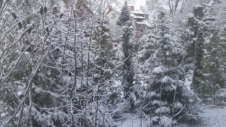 Zimowy poranek zaskoczył mieszkańców Gdańska Osowej