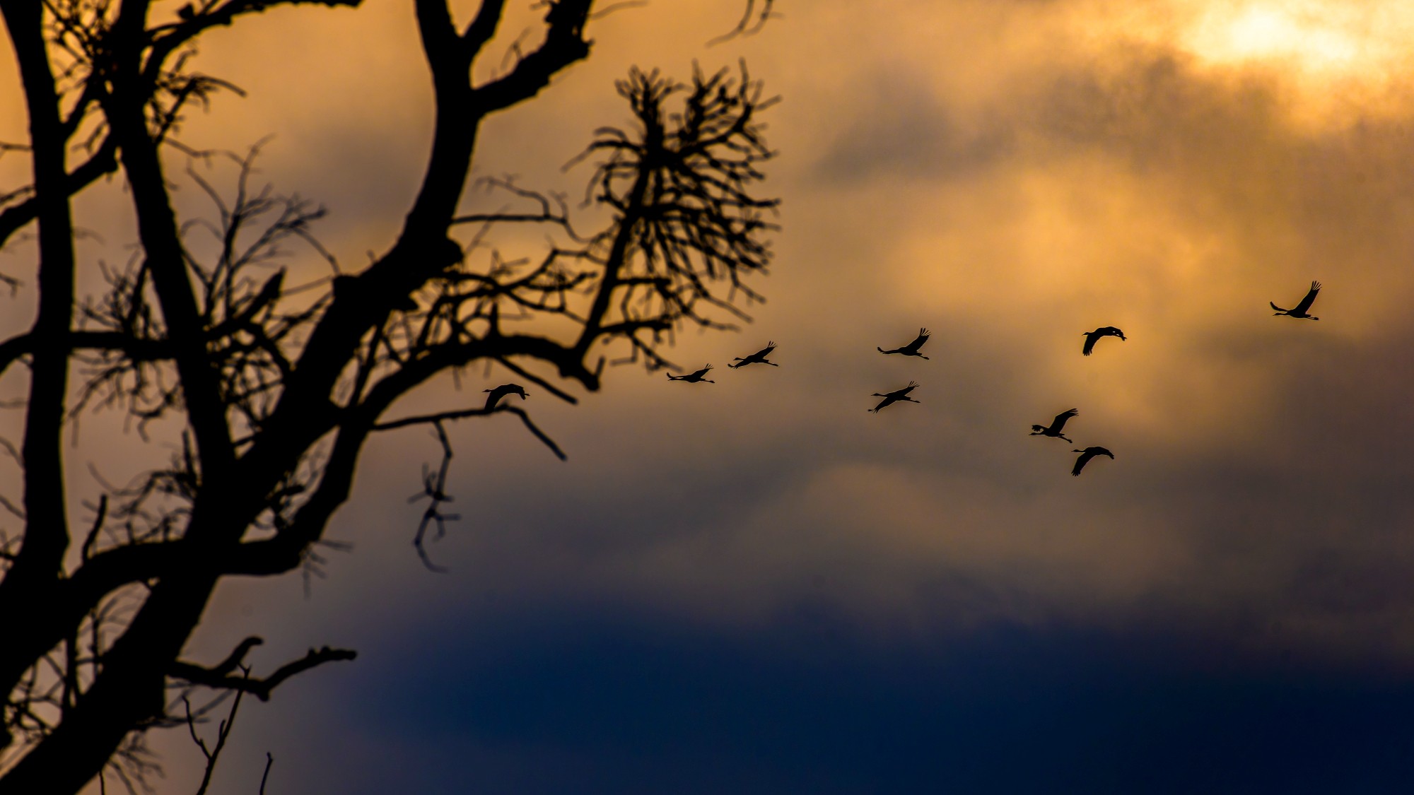 Niebo nad nami - zdjęcie 38