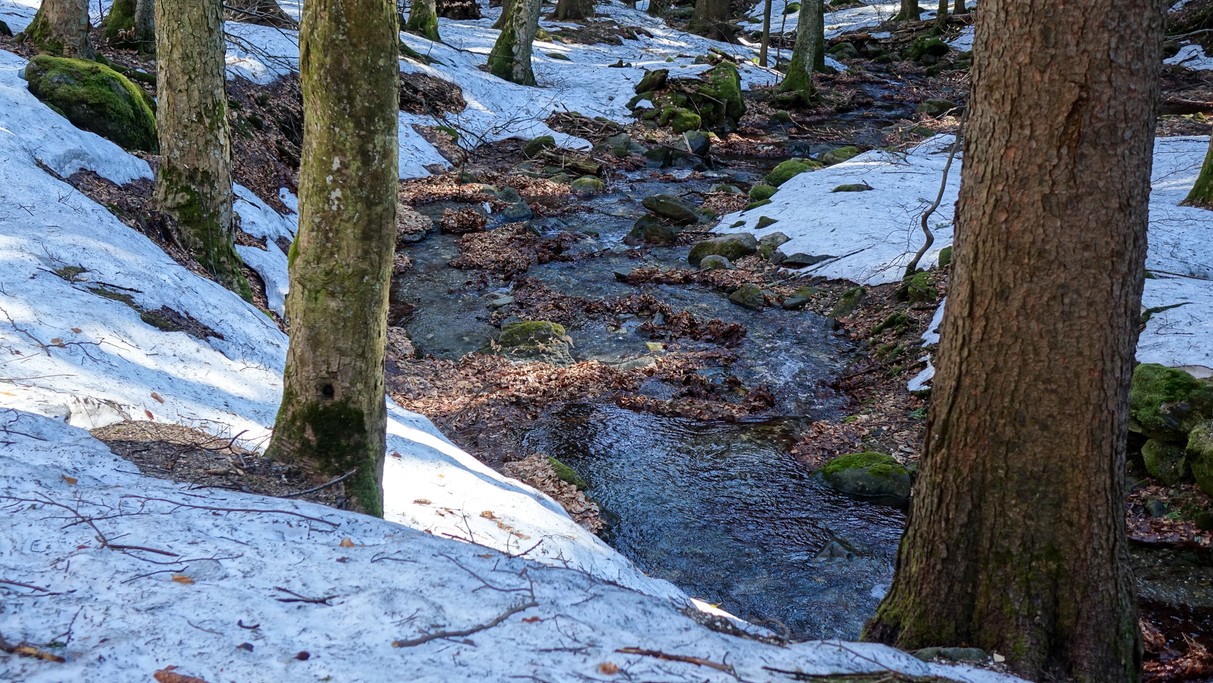 Marzec w obiektywie - zdjęcie 48