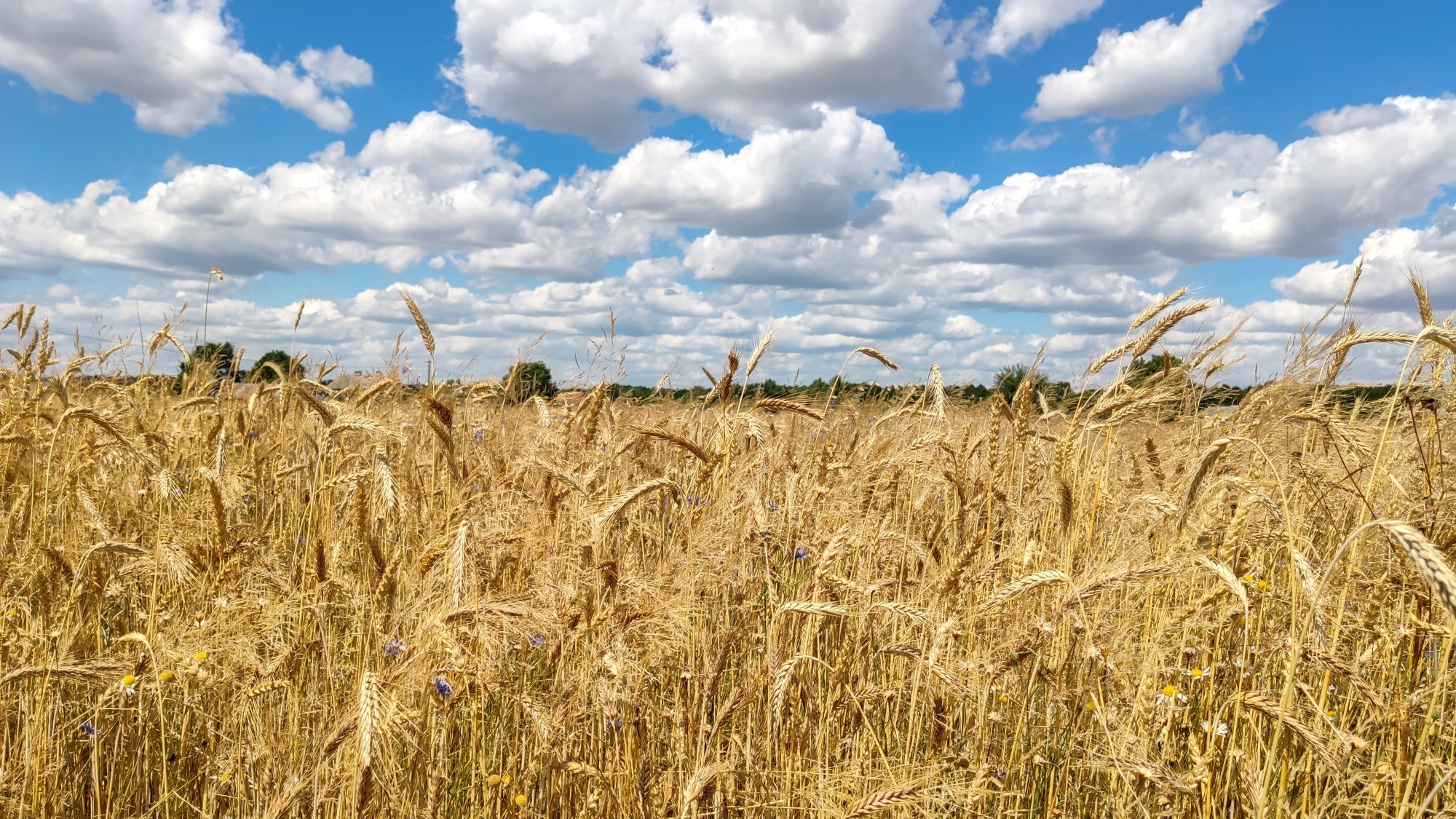 Polskie krajobrazy w 2019 roku - zdjęcie 5