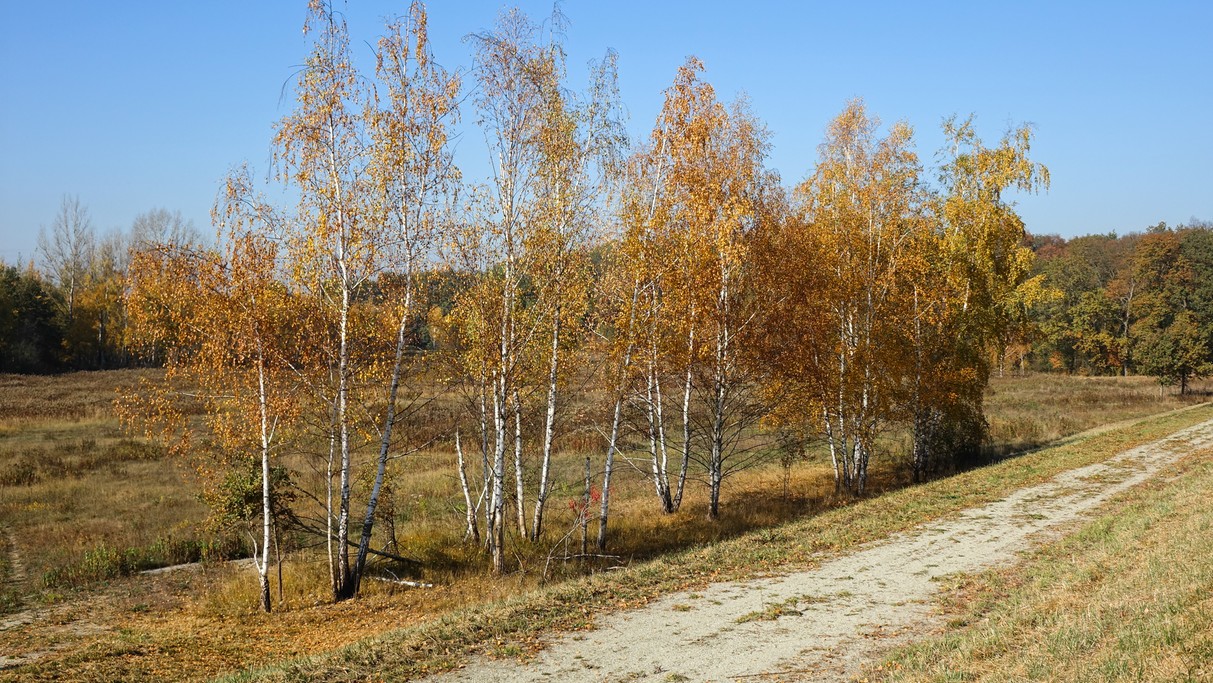 Jesienne klimaty - zdjęcie 12