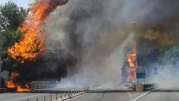 Włochy. Pożar w nadmorskiej miejscowości. Pierwsze informacje o ofiarach