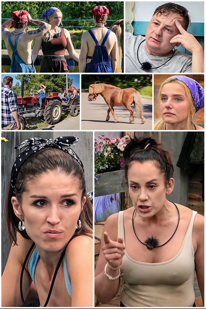 2026-02-23 Farma - edycja 5, odcinek 6: Końska dawka wiedzy. Bolesna! - Polsat.pl