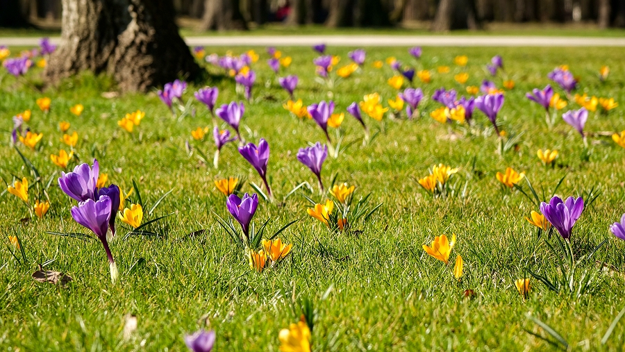 06.03.2019 11:00 Pogoda na marzec. Czy zima jeszcze do nas wróci? Kiedy zjawi się prawdziwa wiosna? Sprawdź!