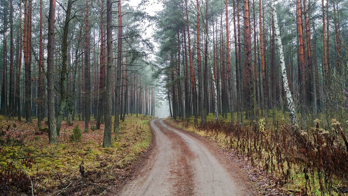 Listopad w obiektywie - zdjęcie 24