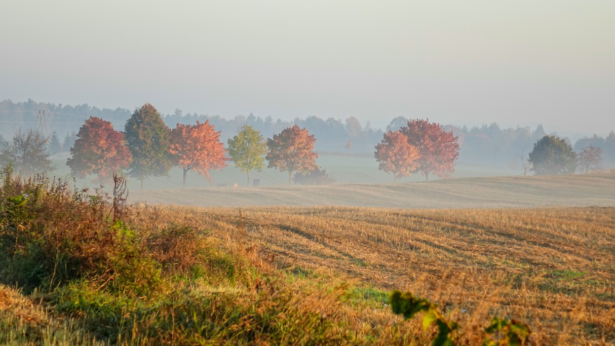 Podróż przez jesienną Polskę - zdjęcie 8