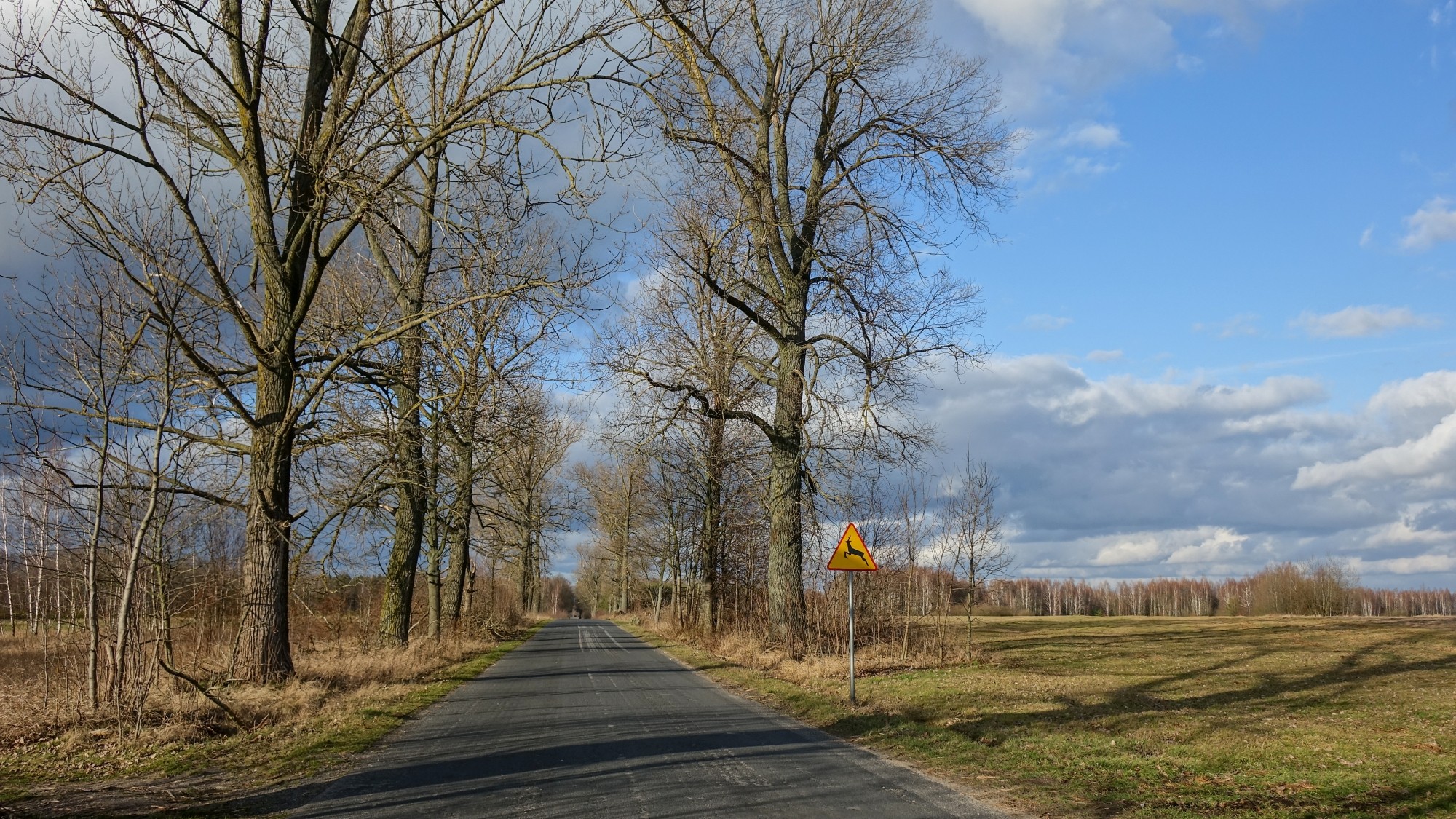Najcieplejsza zima w historii - zdjęcie 30