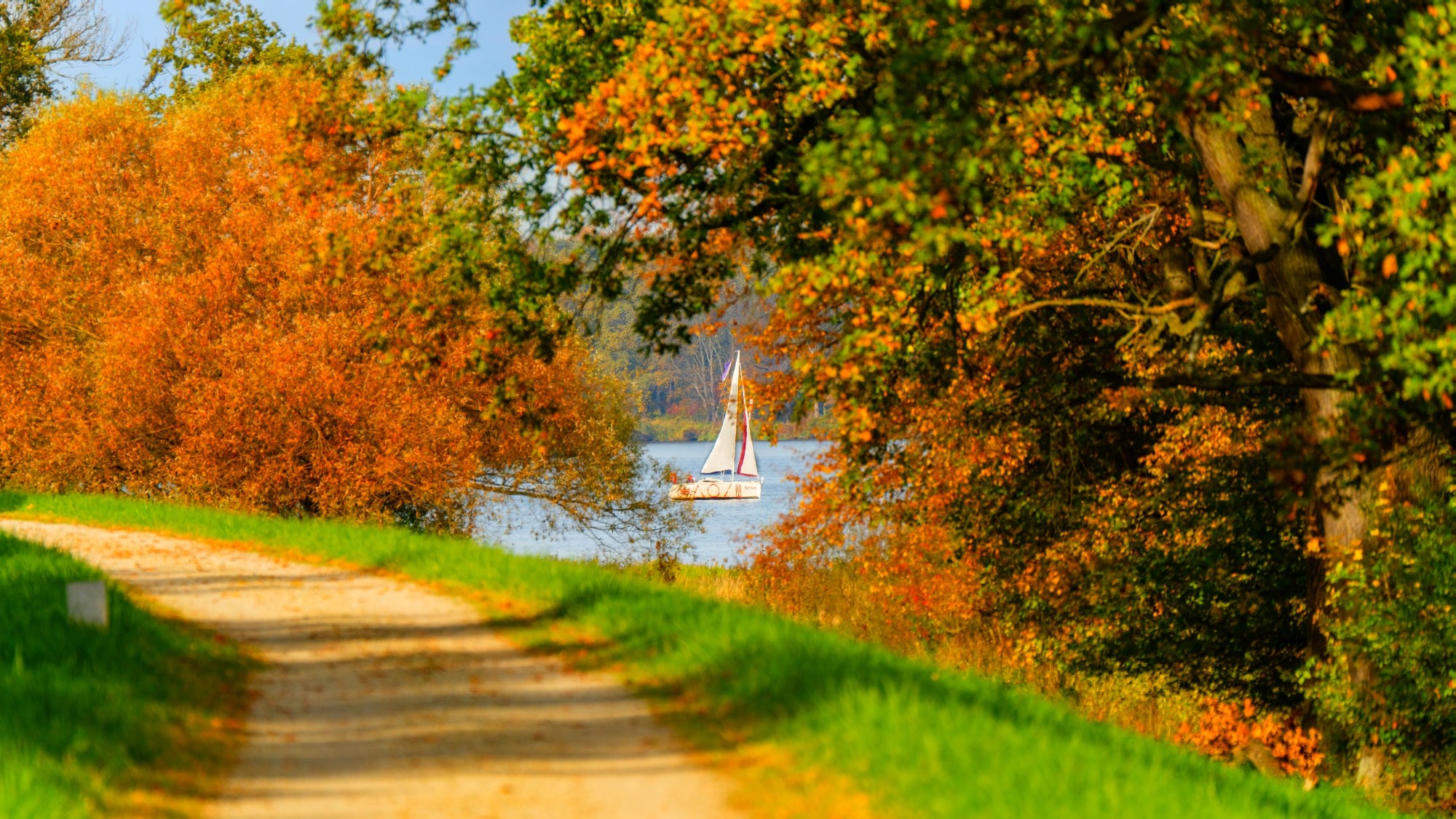 Piękny listopad - zdjęcie 33