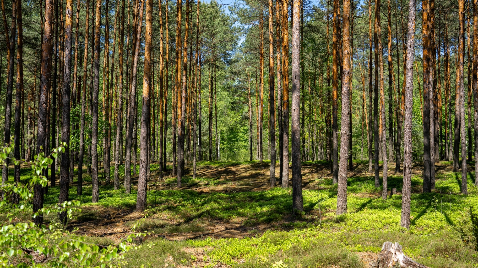Lato na prowincji - zdjęcie 22