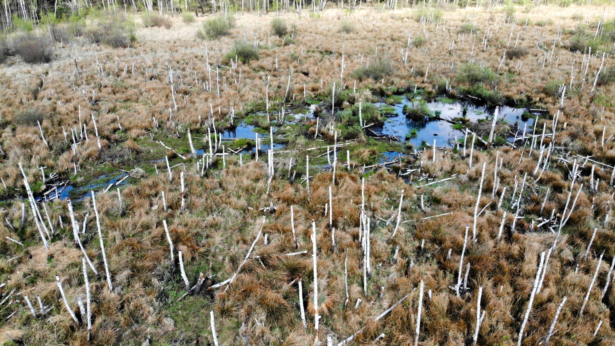 Wiosna w Polsce okiem drona - zdjęcie 13