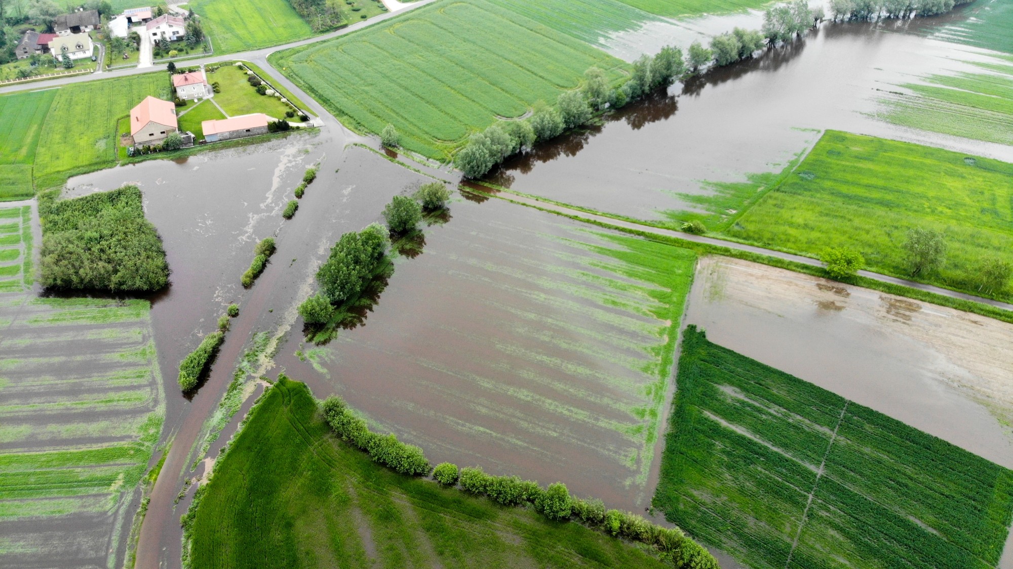 Majowa powódź w Polsce - zdjęcie 35