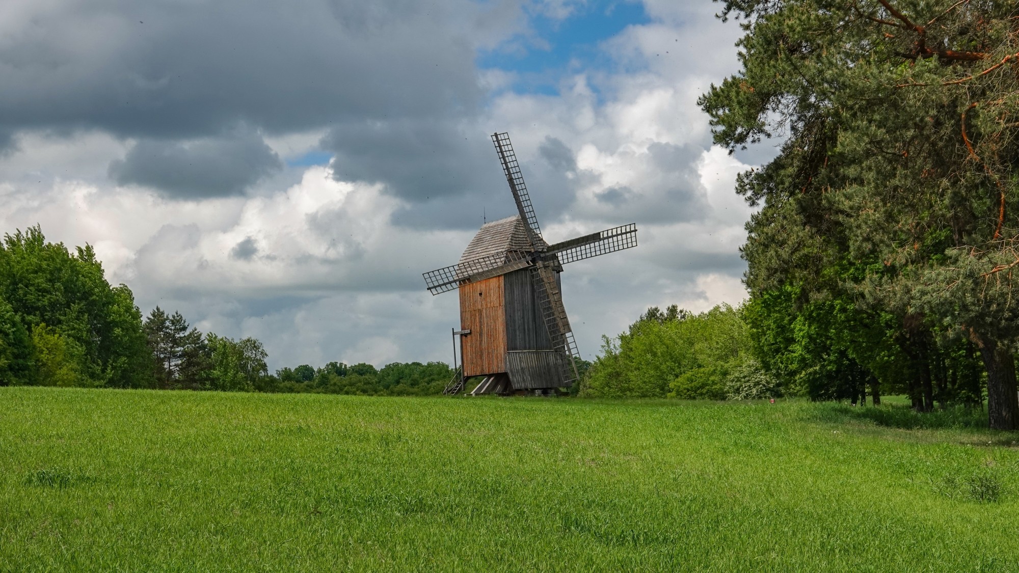 Lato w plenerze - zdjęcie 11