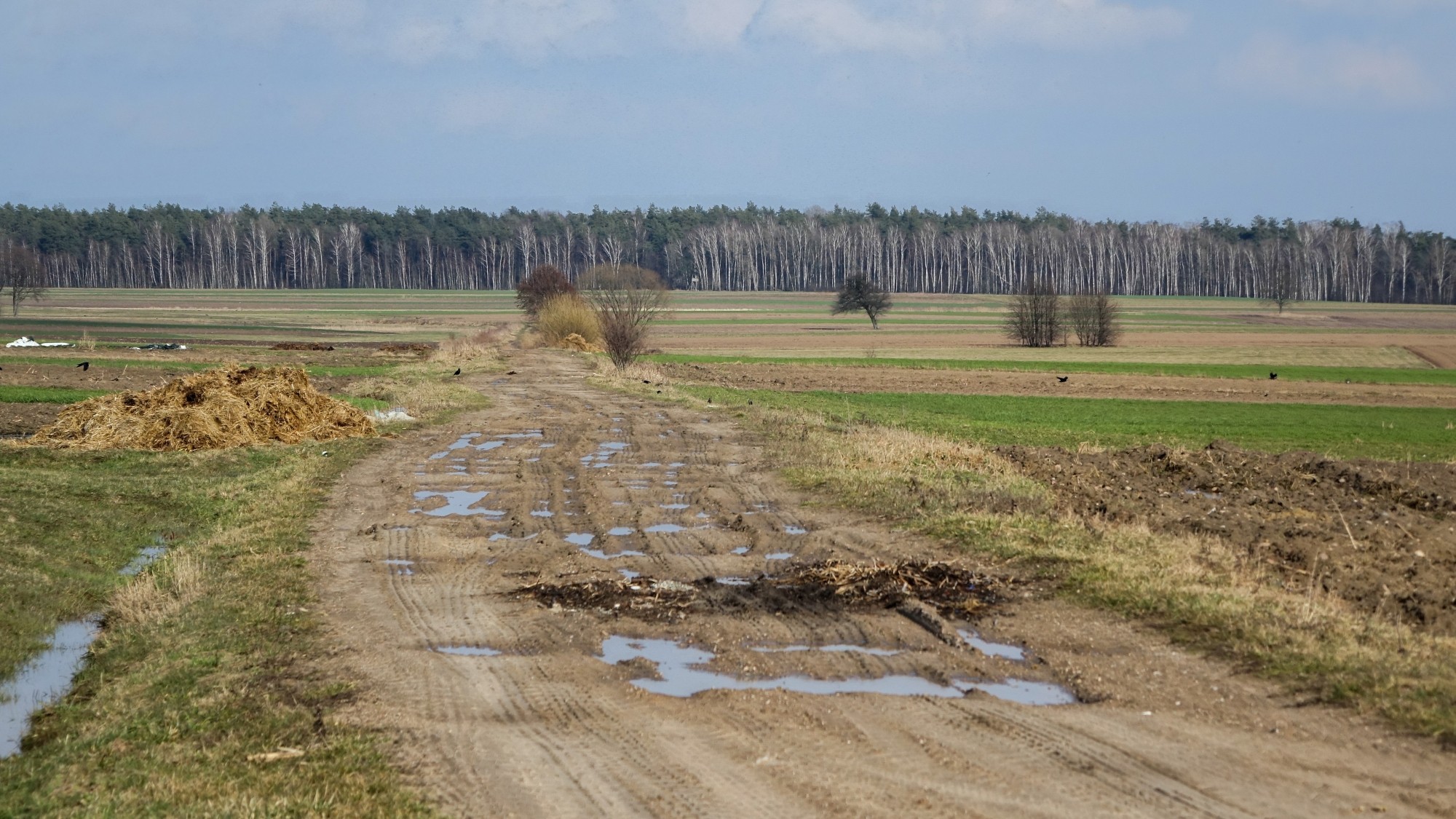 Całe piękno polskiej prowincji - zdjęcie 86