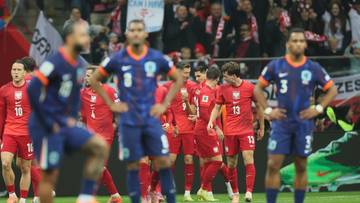 Mecz Polska - Holandia przerwany. Dlaczego? Znamy powód