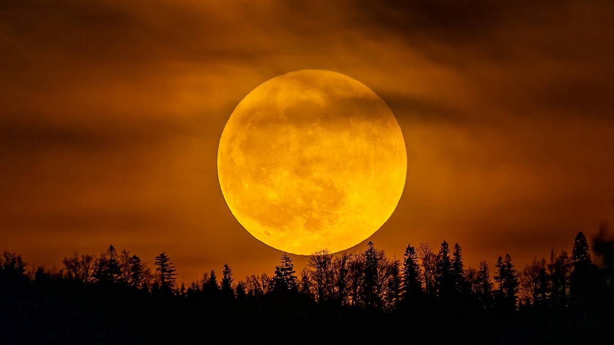 29-09-2023 06:00 Księżyc Żniwiarzy wyjątkowo zbliży się do Ziemi. Wielu z nas czeka koszmarna noc