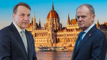 Premier Polski zaingerował w wybory na Węgrzech? Przydacz: Sikorski i Tusk mają problem