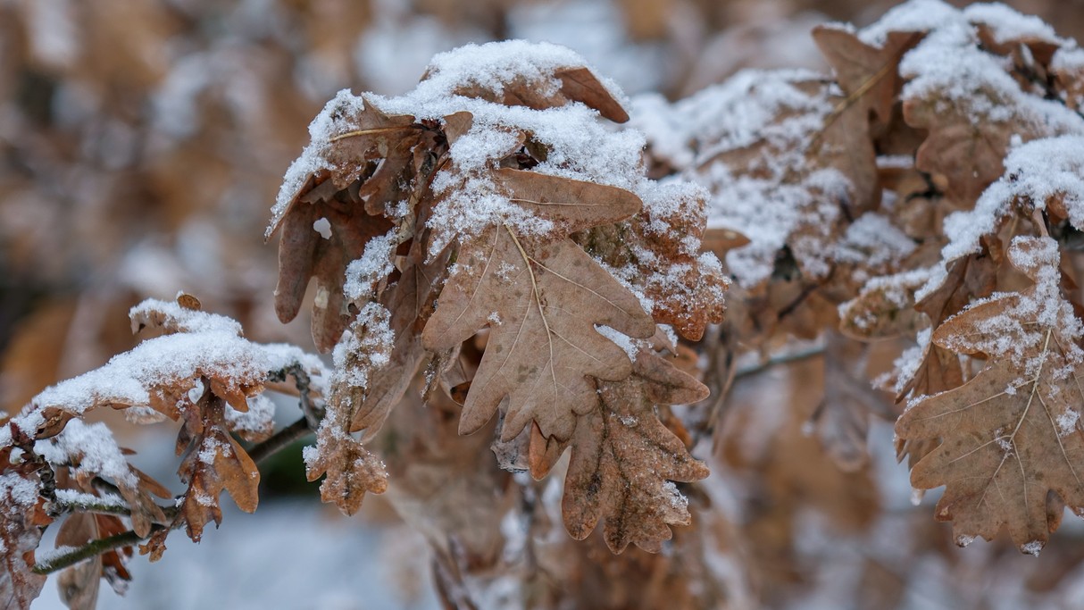 Luty w obiektywie - zdjęcie 23