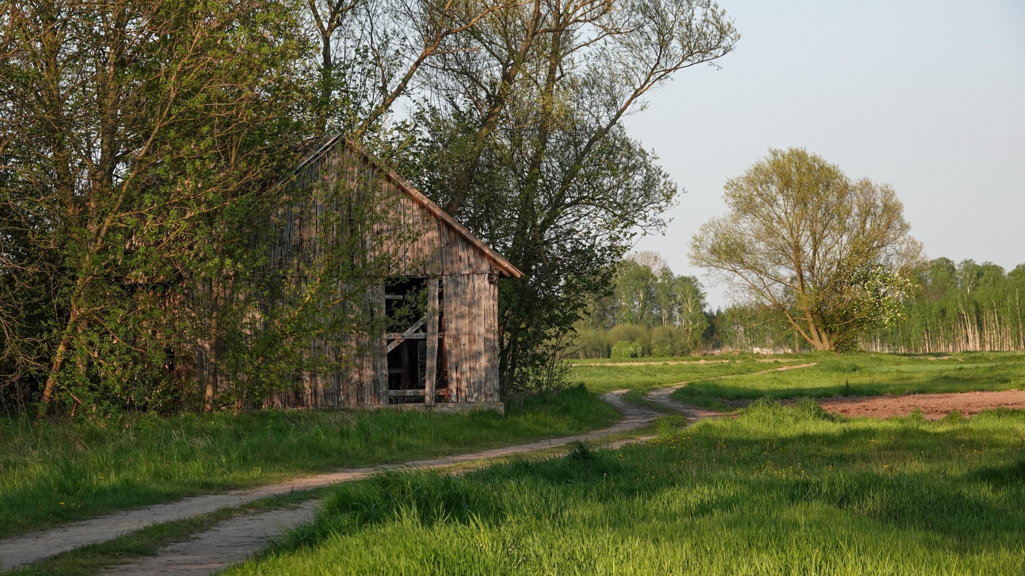 W maju jak w raju - zdjęcie 33